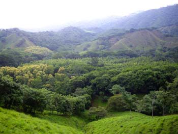 Vue de la finca de 6 has de La Esperanza, Costa Rica